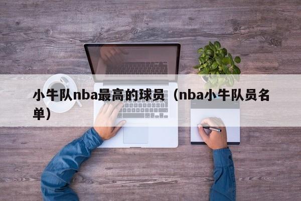 小牛队nba最高的球员（nba小牛队员名单）